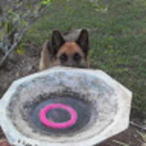 Meet your Posher, Joel